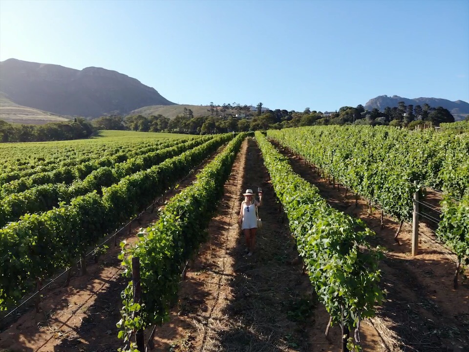 vinícolas Cape Town