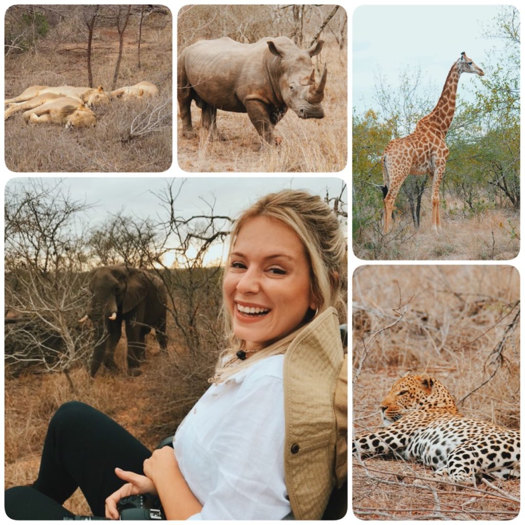 safari na africa